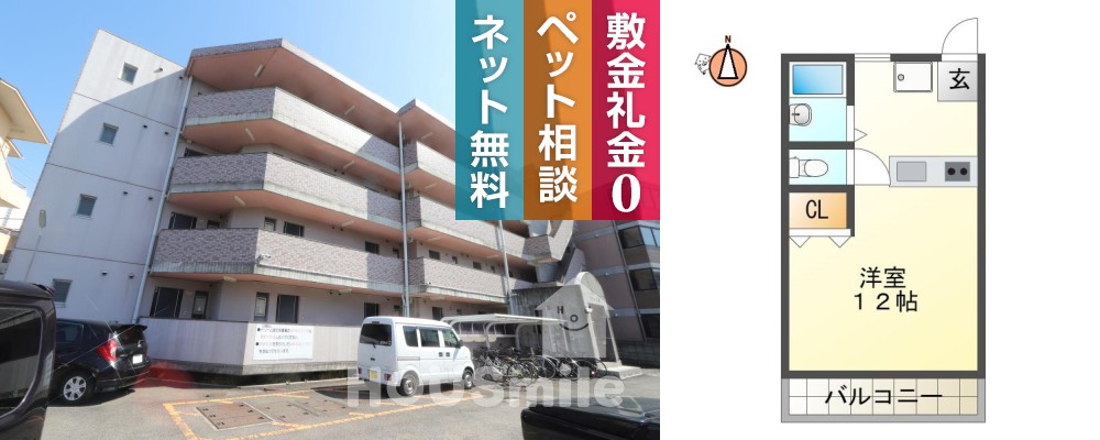 川内町榎瀬 マンション 1R 303の外観と間取り図