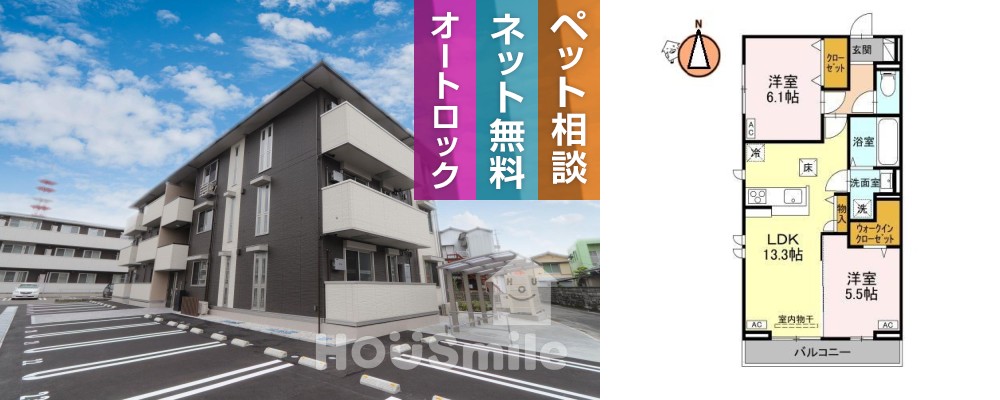 オリーヴァ 205の外観と間取り図