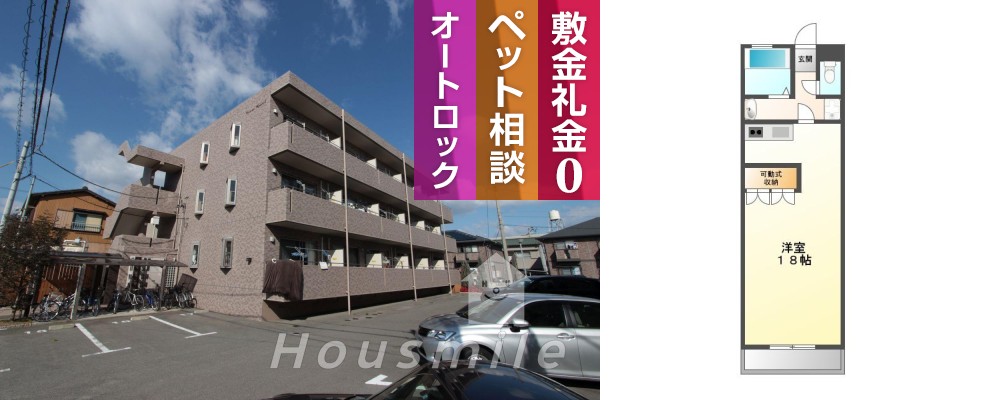 住吉 マンション 1R 101の外観と間取り図
