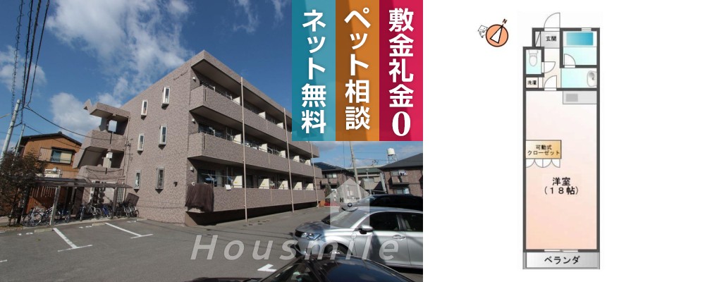 住吉 マンション 1R 204の外観と間取り図