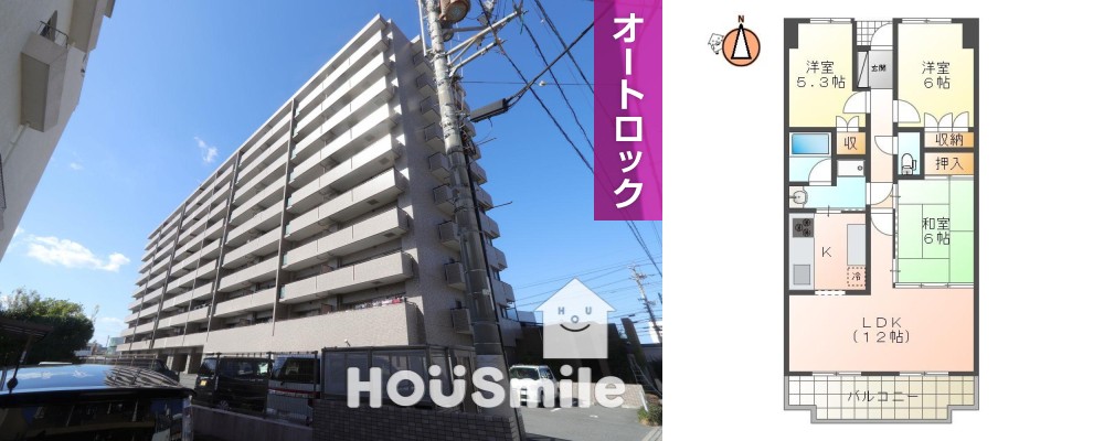 サーパス城東 10Fの外観と間取り図