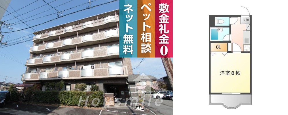 コスモハイムII 303の外観と間取り図