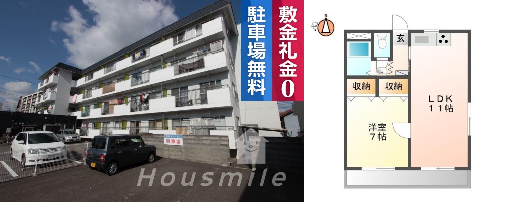 徳島大学 常三島 700m 1LDK 201の写真