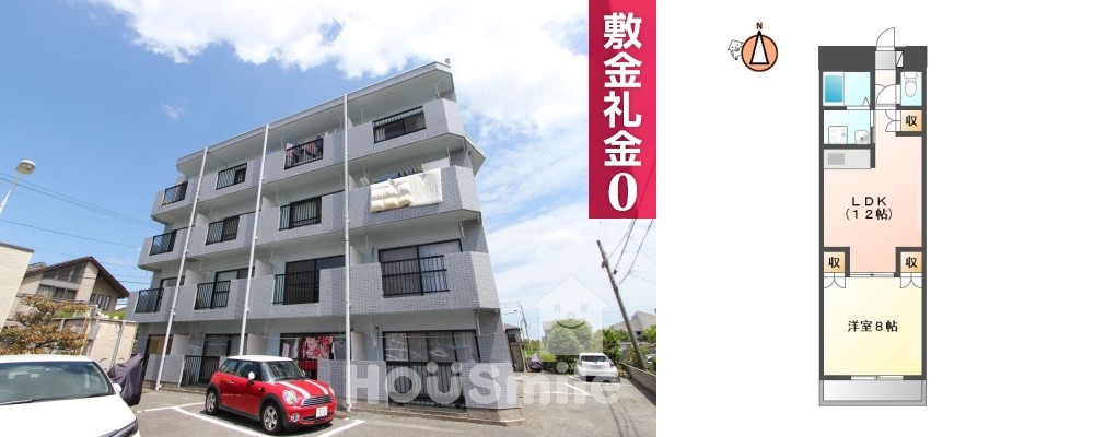 上吉野町 マンション 1LDK 303の外観と間取り図