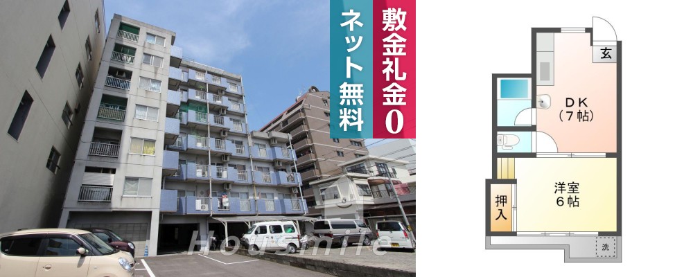 の写真