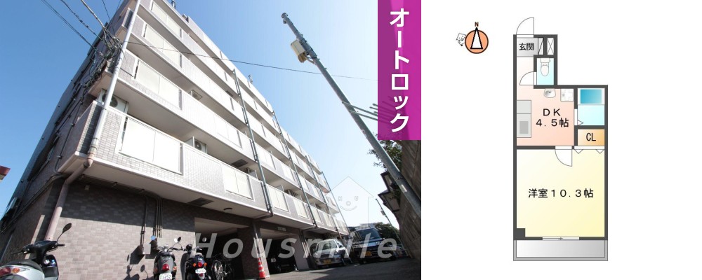 メゾン南昭和 402の外観と間取り図
