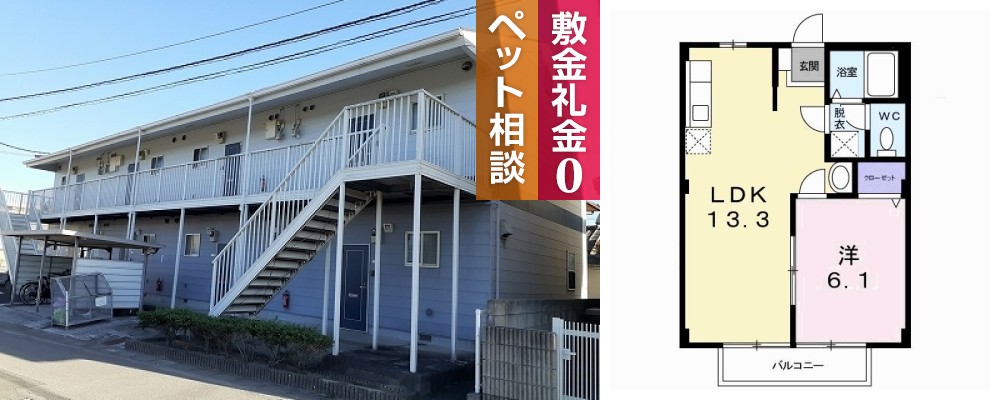 メゾン竹内 102の外観と間取り図