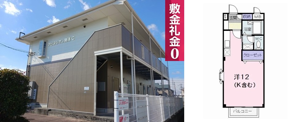 アビタシオン勝瑞C 203の外観と間取り図