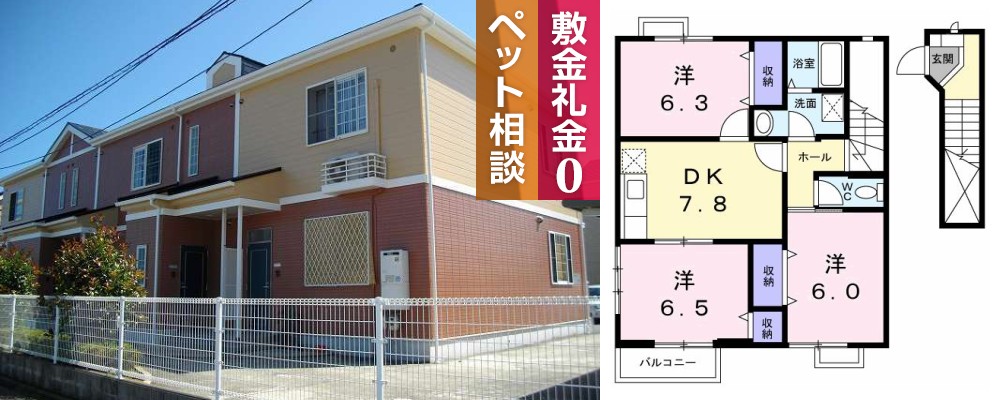 ペニーレイン1 203の外観と間取り図