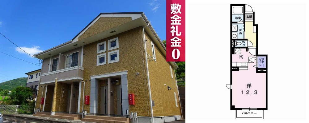 サニー・ヴィラ ケイ 103の外観と間取り図
