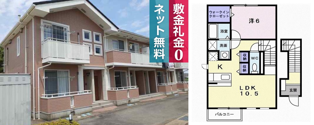 ネムス C 201の写真