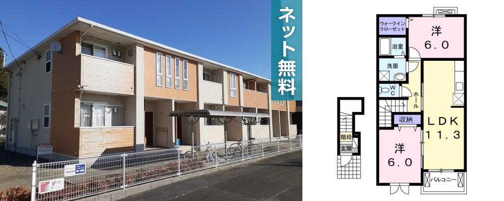 カリーナガーデン 203の外観と間取り図