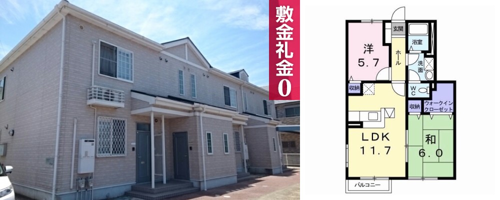 アビタシオン勝瑞J 103の外観と間取り図