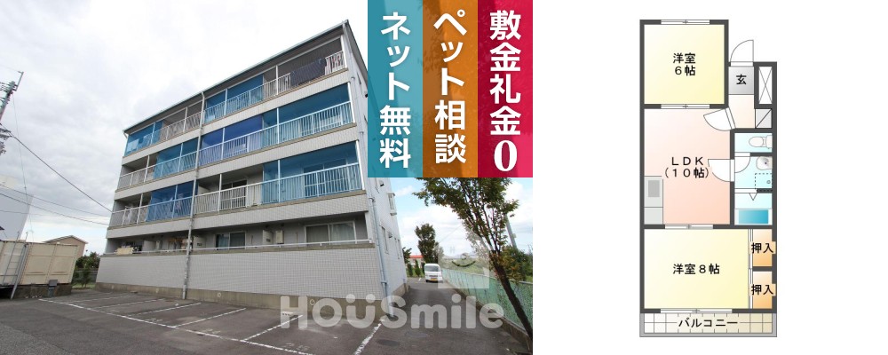 国府町和田 マンション 2LDK 1-11の外観と間取り図