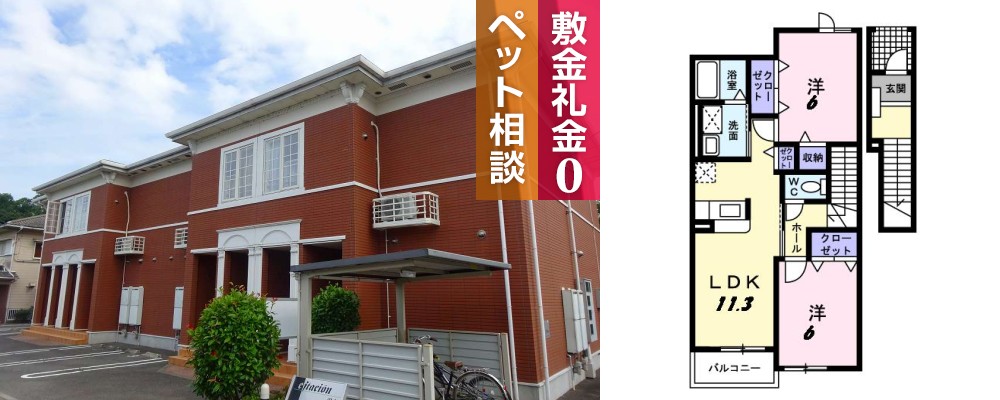 エスタシオン湯立 202の外観と間取り図