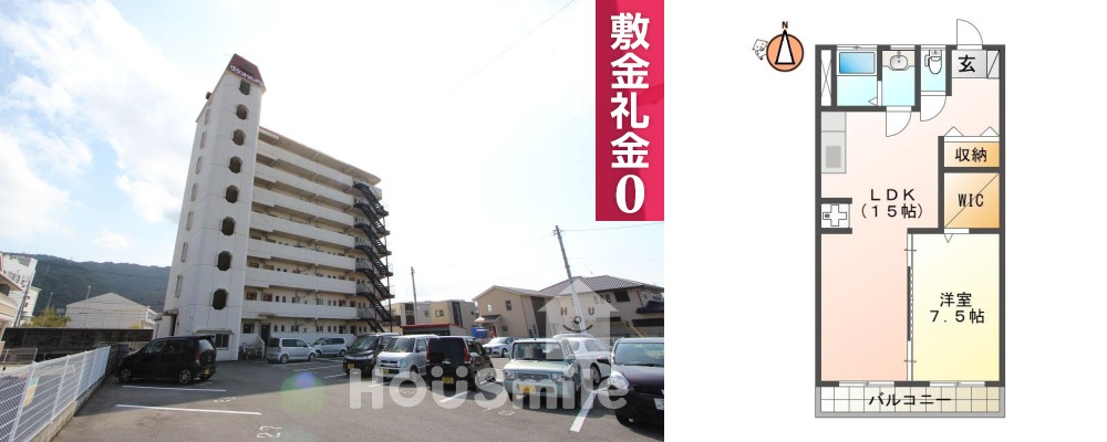 の写真
