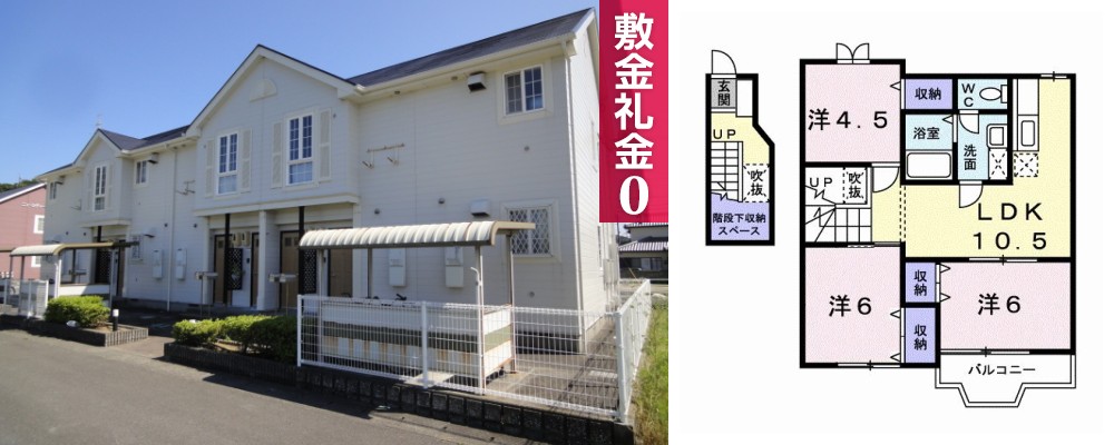 ニューシティー鳴門 3号館 202の外観と間取り図