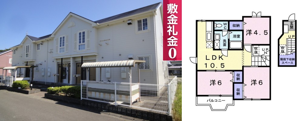 ニューシティー鳴門 3号館 203の外観と間取り図