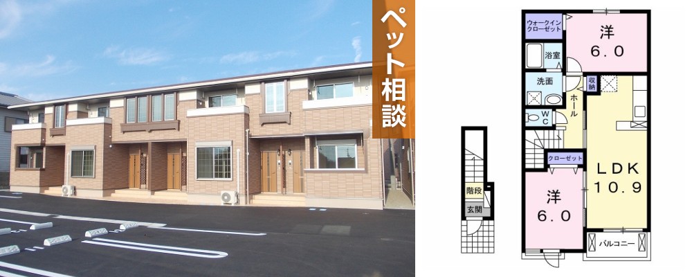 サン・メゾン D 203の外観と間取り図