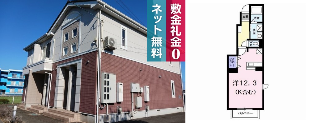 ルミナス藍住A 101の外観と間取り図