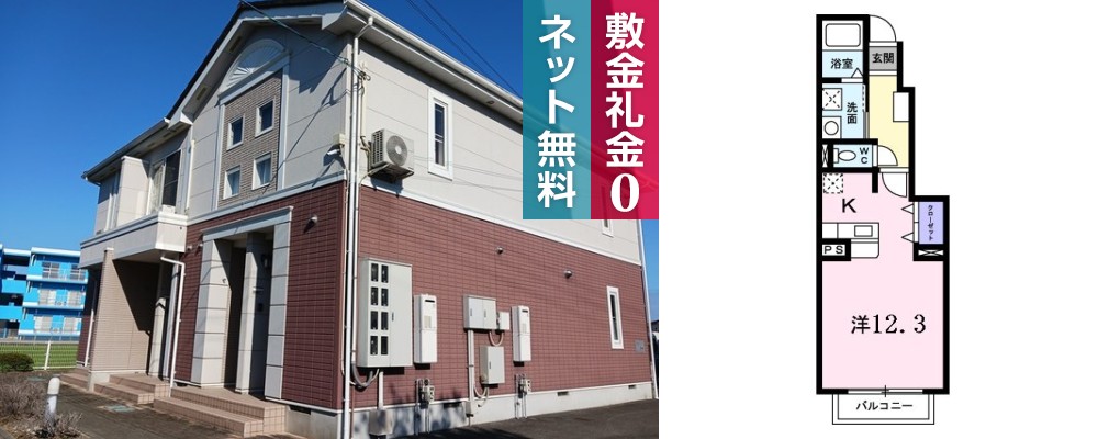 ルミナス藍住A 102の外観と間取り図