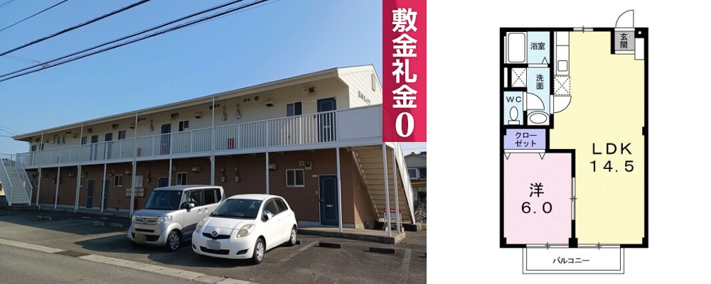 武中ハイツ 203の外観と間取り図