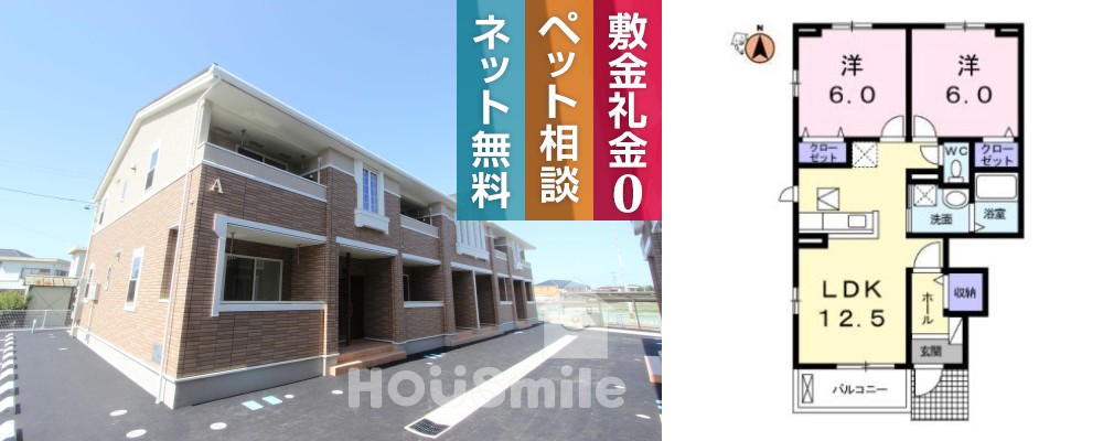 トビアスガーデン南沖洲A 101の外観と間取り図