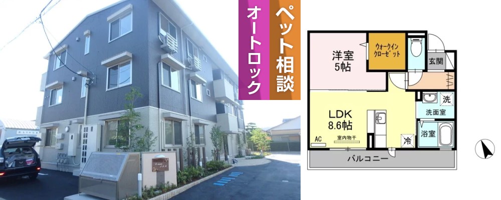 D-room ノトス 203の外観と間取り図
