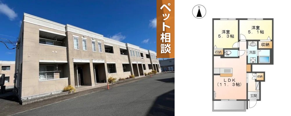 カネイコート日開野 101の外観と間取り図