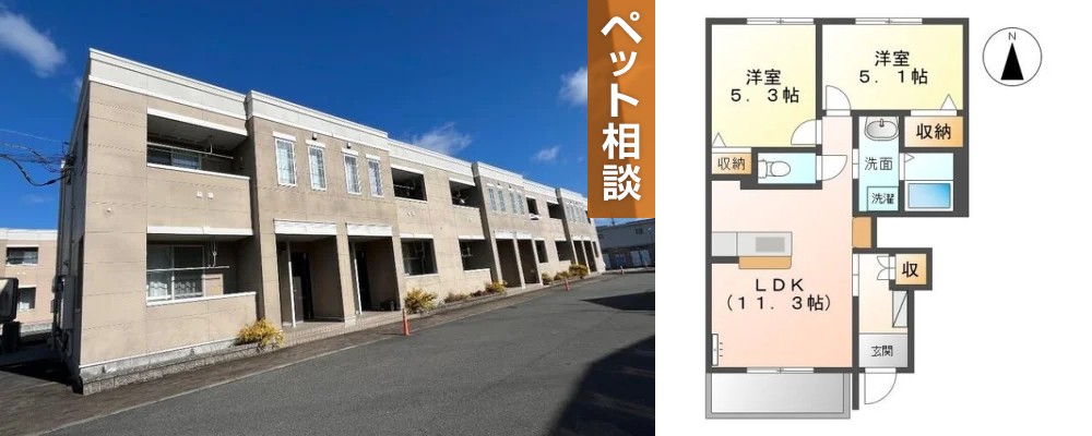 カネイコート日開野 103の外観と間取り図