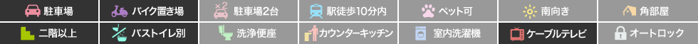 ビザン21 206の特徴アイコン