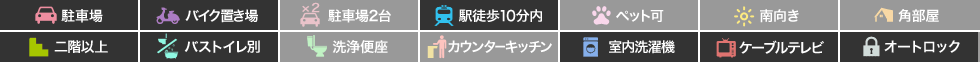 庄町 マンション 1DK 403の特徴アイコン