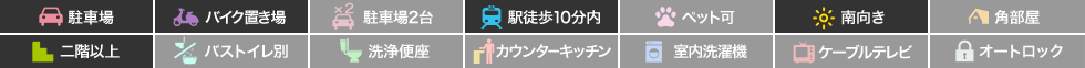 南昭和町 マンション 1K 302の特徴アイコン