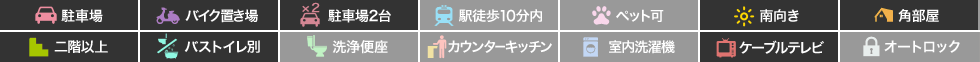 大石マンション 204の特徴アイコン