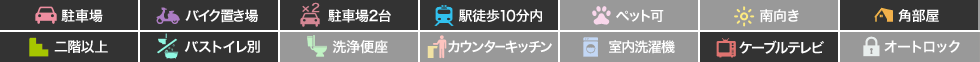 庄町 マンション 1LDK 307の特徴アイコン
