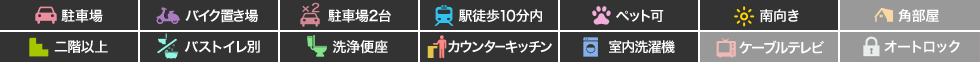 ピースコウセイ北佐古 B棟 203の特徴アイコン