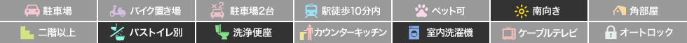 キルシュ ブラウ 102の特徴アイコン
