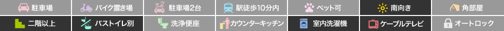 アヴィタションWISE 201の特徴アイコン