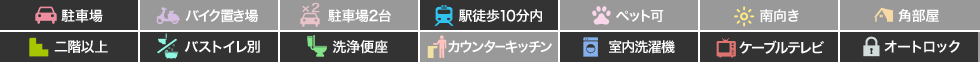 昭和町 マンション 1K 802の特徴アイコン