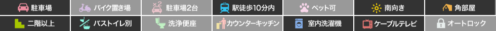 昭和町1丁目 アパート 1K 206の特徴アイコン