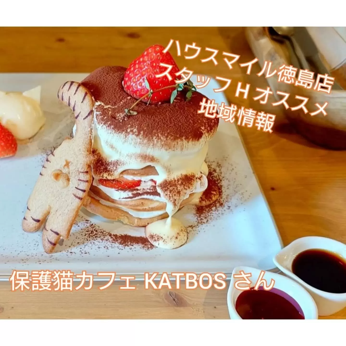 保護猫カフェ KATBOS写真