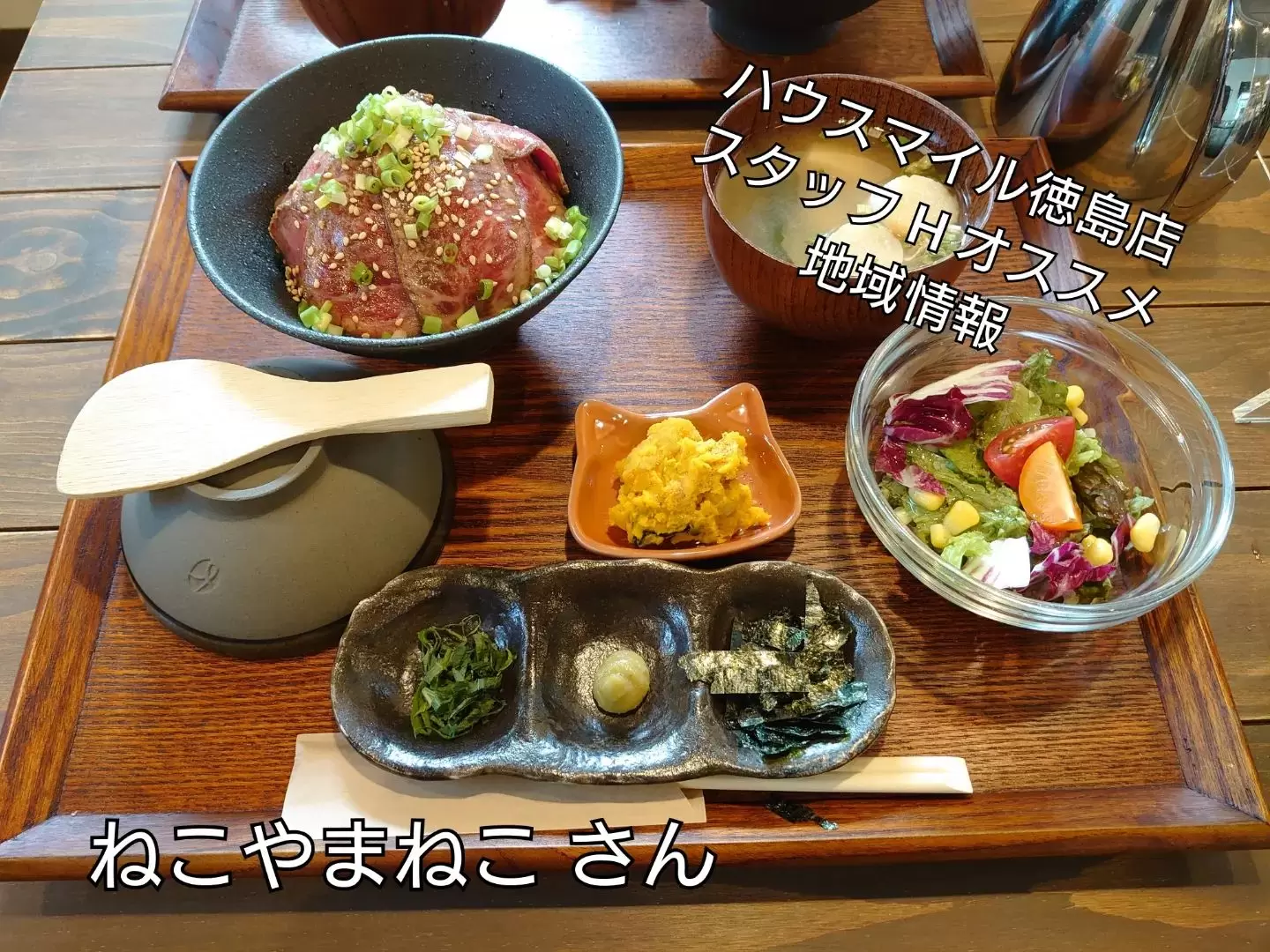ねこやまねこ写真