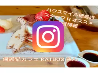 保護猫カフェ KATBOS写真
