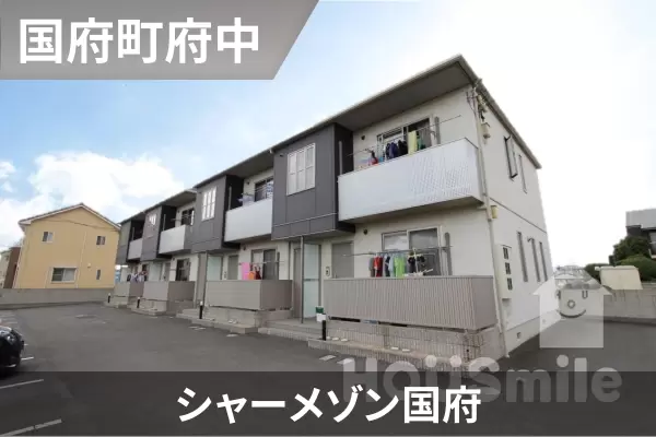 シャーメゾン国府の建物紹介