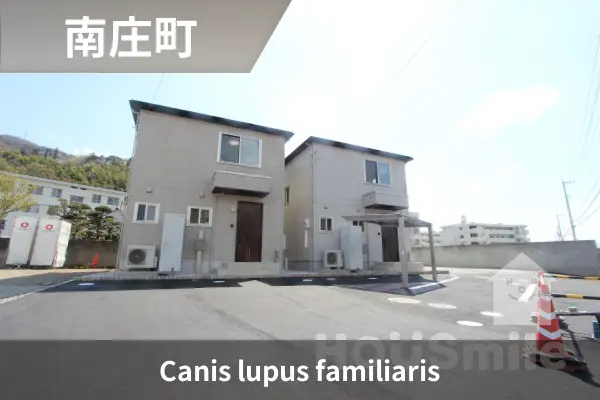 Canis lupus familiarisの建物紹介