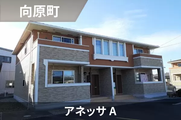 アネッサ Aの建物紹介