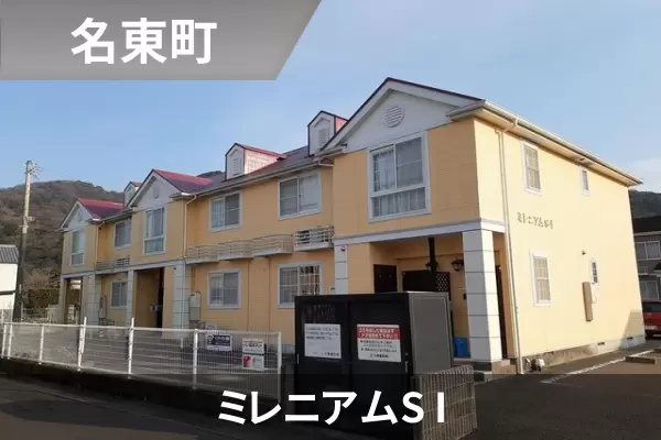 ミレニアムS Iの建物紹介