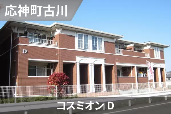 コスミオン Dの建物紹介