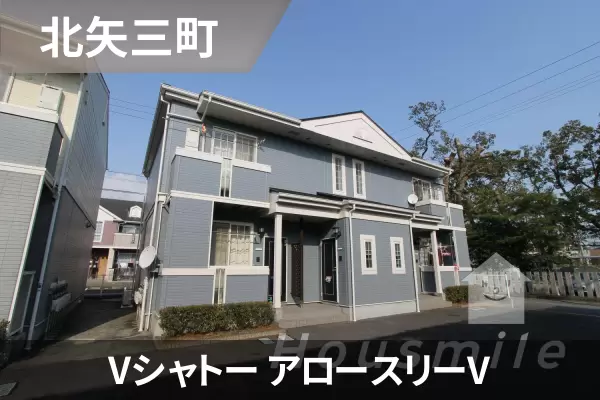 Vシャトー アロースリーVの建物紹介