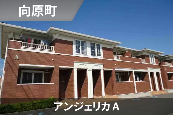 アンジェリカ Aの建物紹介